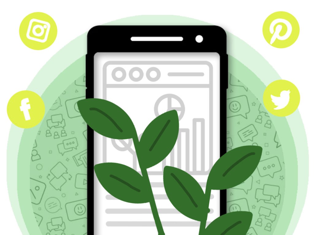 Evaluating Roxy’s Organic Content